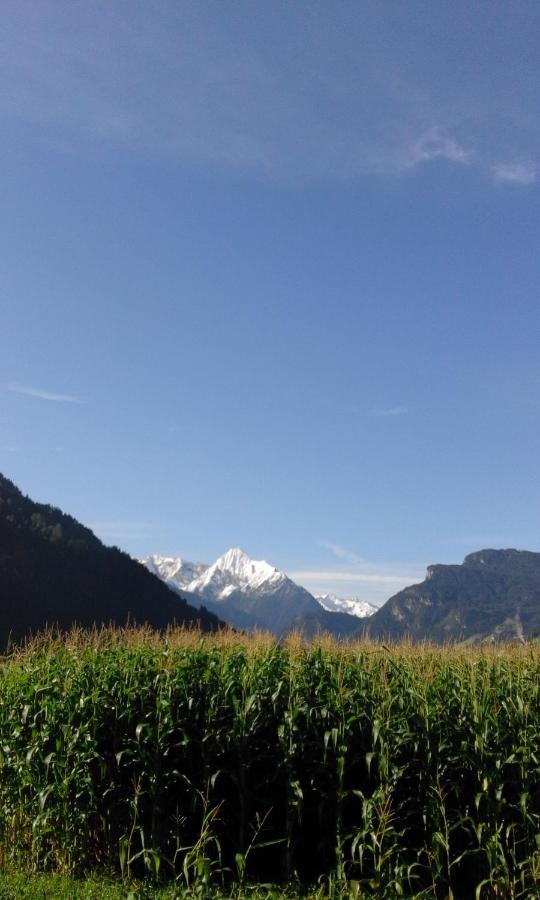 Gaestehaus Wildauer Zell am Ziller Esterno foto